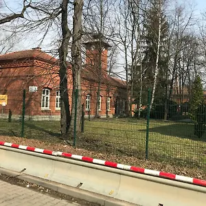 Stary Go Krakkó